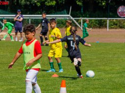 Hillen Cup 2024